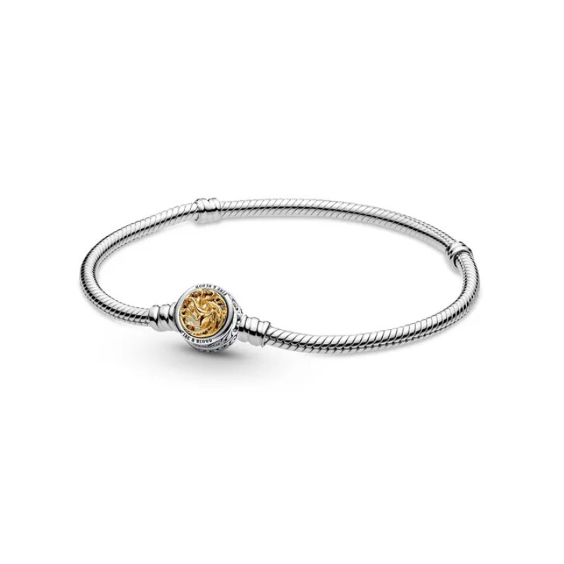 Bracelet pour charm argent maison feu et sang game of thrones