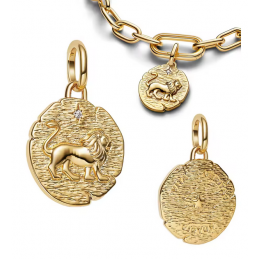 Charm rond lion or talisman pour bracelet