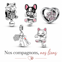 Nos compagnons, nos liens